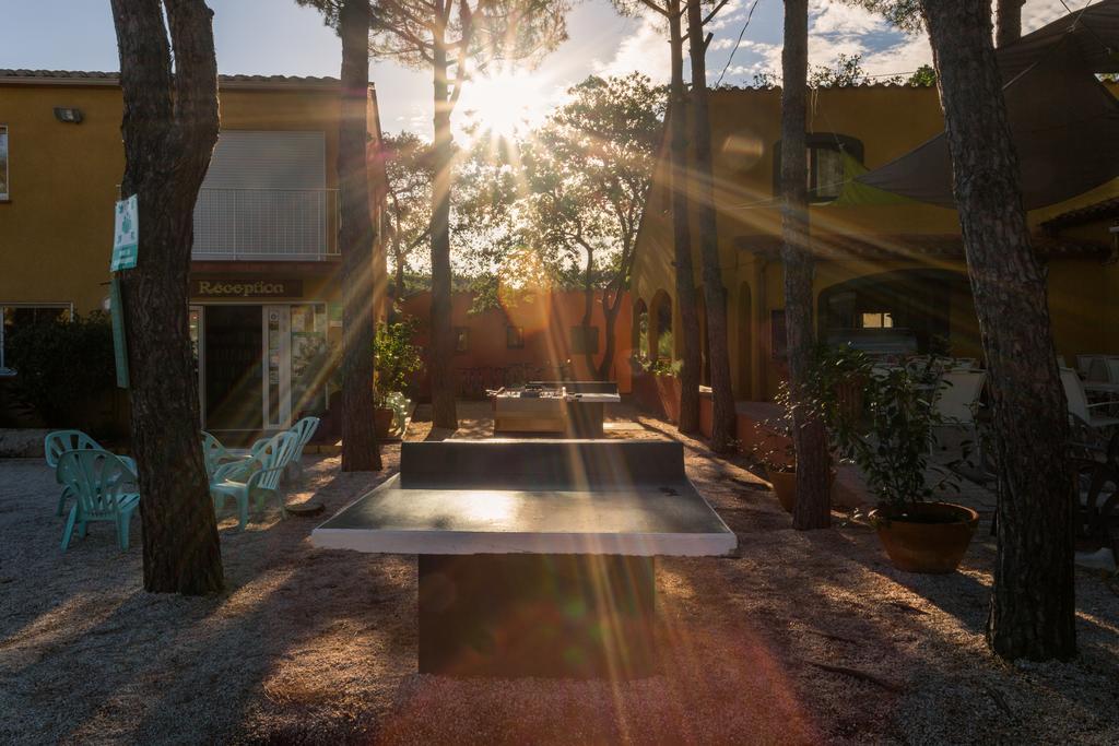 Domaine Des Mimosas Lejlighed Argelès-sur-Mer Eksteriør billede