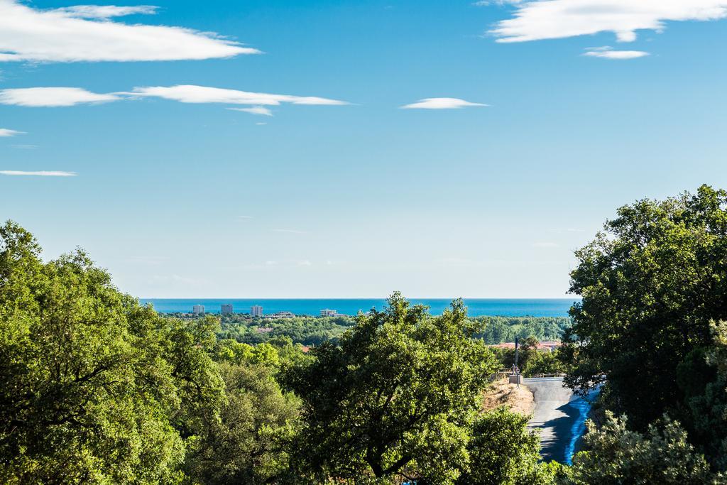 Domaine Des Mimosas Lejlighed Argelès-sur-Mer Eksteriør billede